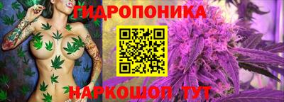 a pvp Кулебаки