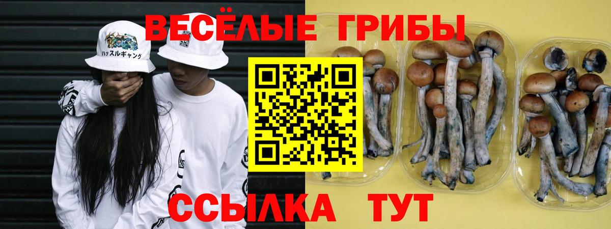Псилоцибиновые грибы MAGIC MUSHROOMS  Вход с VPN  Щёлково 